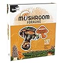 SpiceBox Gift Box: Mushroom Foraging Kit - Discover Nature's Delicacies and Become a Fungi Connoisseur