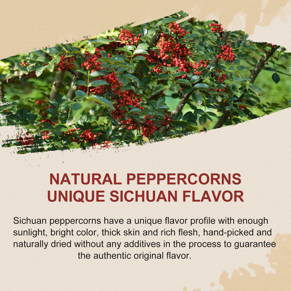 52USA Sichuan Peppercorn, Szechuan Peppercorns(4OZ), Authentic Szechuan Red Peppercorn, Less Seeds, Strong Flavor, Whole Sichuan Red Peppercorns