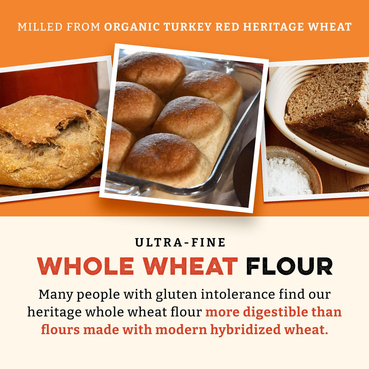 Sunrise Flour Mill Heritage Organic Whole Wheat Flour - 5 lbs | Milled from red hard wheat within 10 Days | Easier to Digest with Less Bloating | No