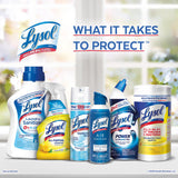 Lysol 1920098012 24-oz. Blue Toilet Bowl Cleaner - Quantity 99