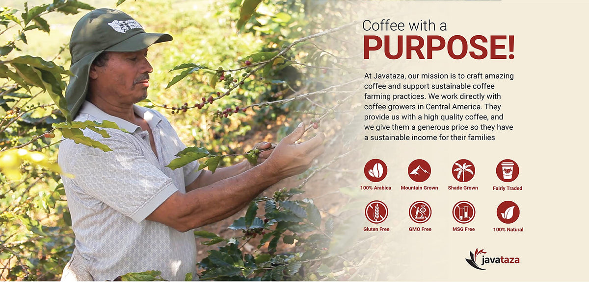 Breakfast Blend Whole Bean Coffee 12 oz. - Fairly Traded, Naturally Shade Grown