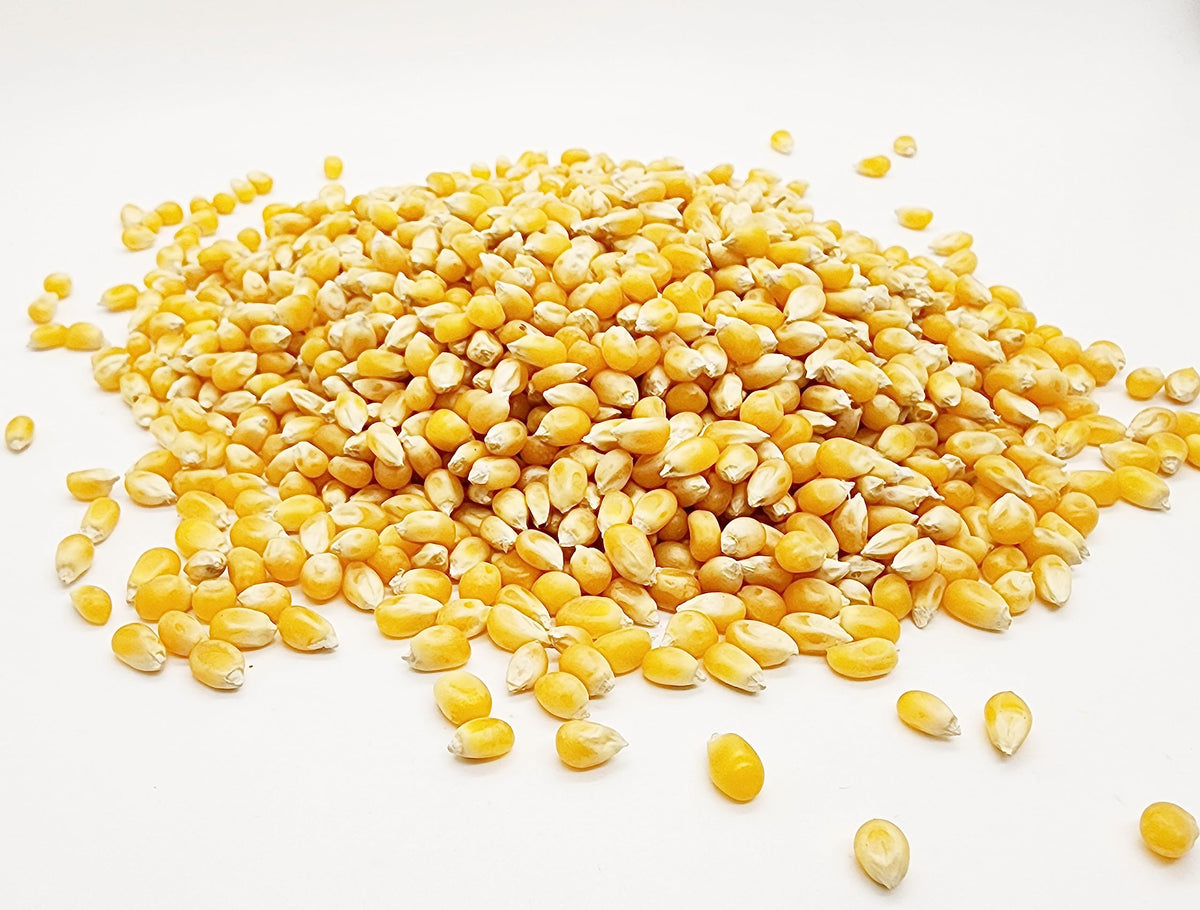 Premium Popcorn Kernels - 5 pounds - Original Yellow Popcorn kernel - by Gamar Foods