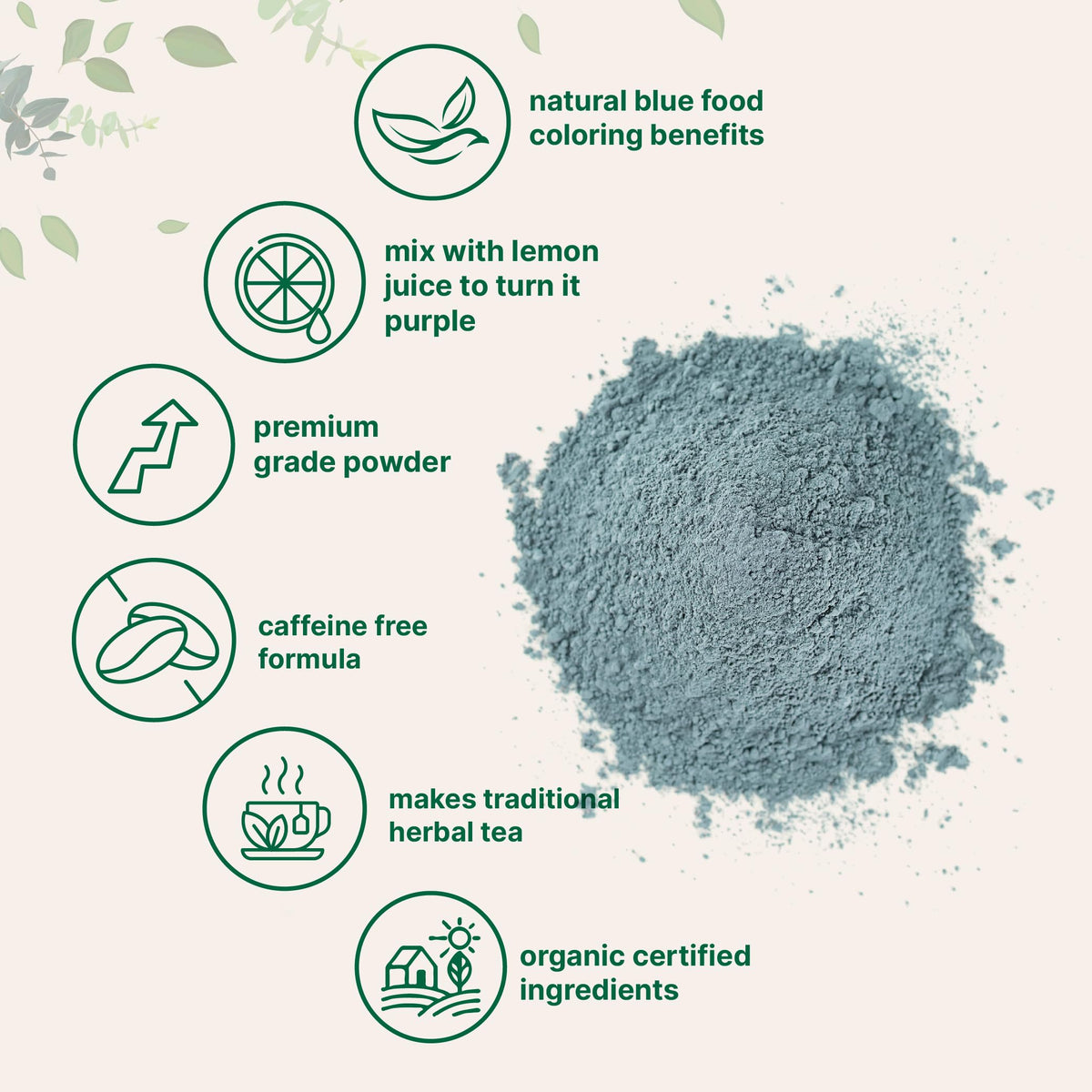 Micro Ingredients Organic Butterfly Pea Flower Powder, 8 oz | Herbal Tea Powder for Hot or Iced Drinks | Natural Blue & Purple Color | Rich in