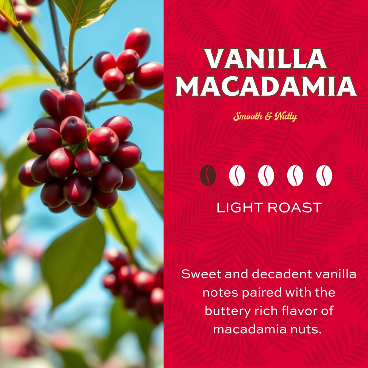 Lion Coffee Vanilla Macadamia Flavor, Arabica Coffee Beans, Light Roast Whole Bean Coffee, A Taste of Aloha, 24 Ounce Bag