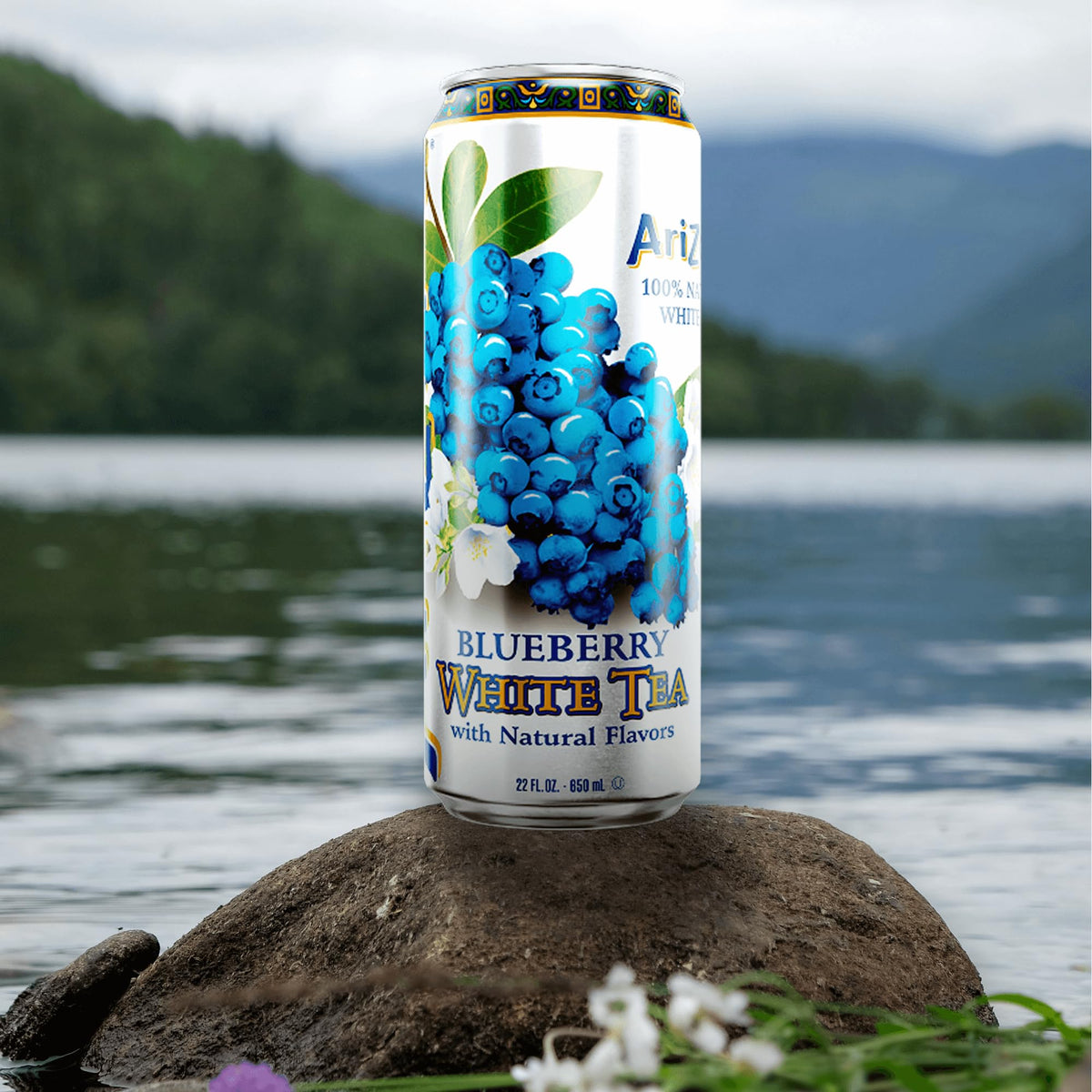 AriZona Blueberry White Tea - Big Can, 22 Fl Oz (Pack of 12)