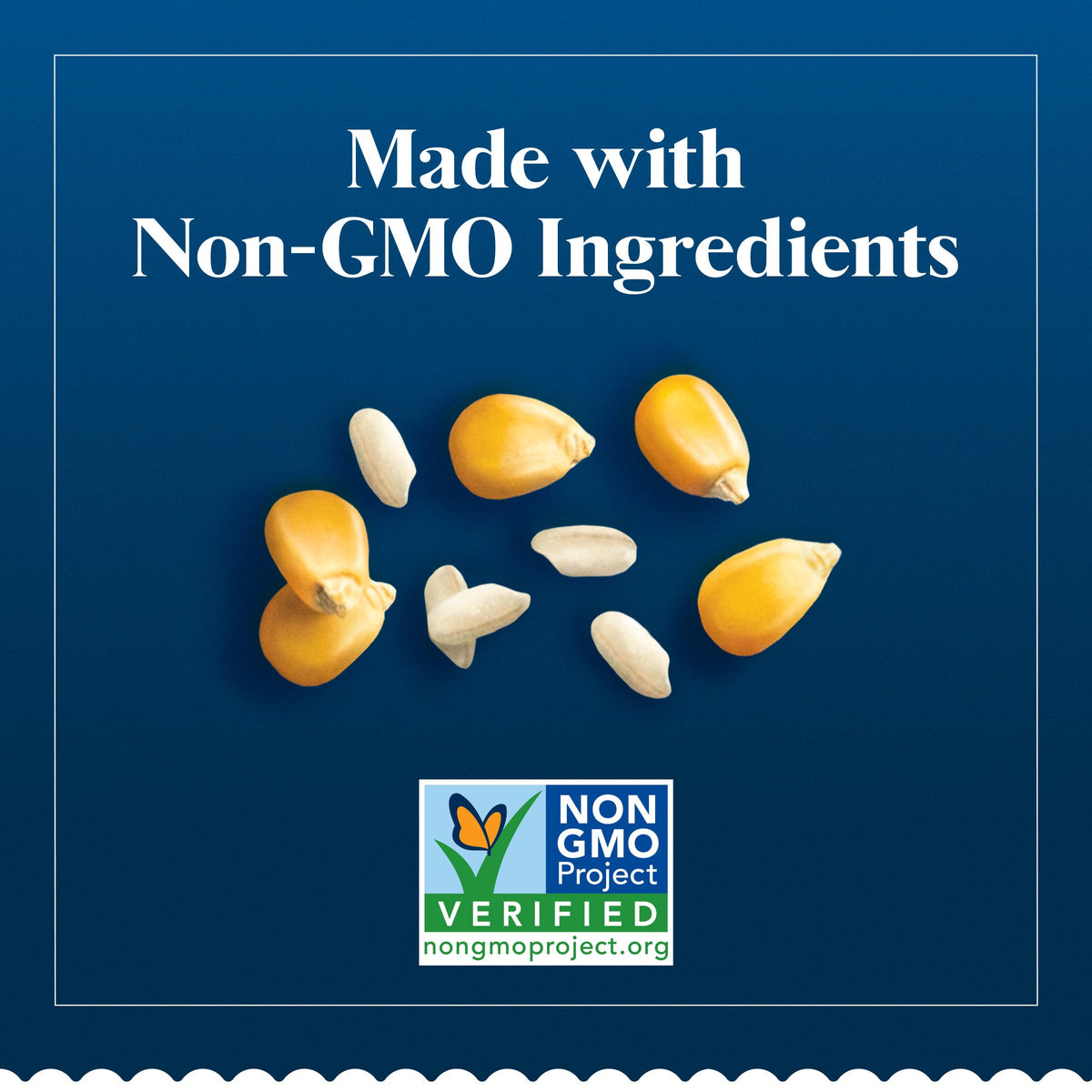 BARILLA Gluten Free Fettuccine Pasta, 12 Ounce - Non-GMO Gluten Free Pasta Made with 2 Ingredients