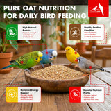 Morning Bird Steel Cut Oats 18 lbs (2-Pack, 9 lbs Each - High Protein Natural Cut Oat Grain for Birds & Easy-to-Eat Pieces - Supports Balanced