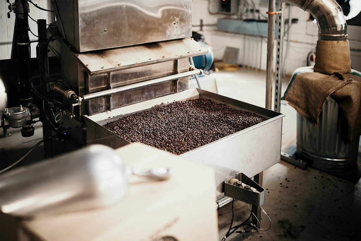 Burundi Mugano Coffee Beans, Light/Medium Roast, Air Roasted Coffee, Good As Gold Coffee Roasters - 5LB Bag Ground Coffee