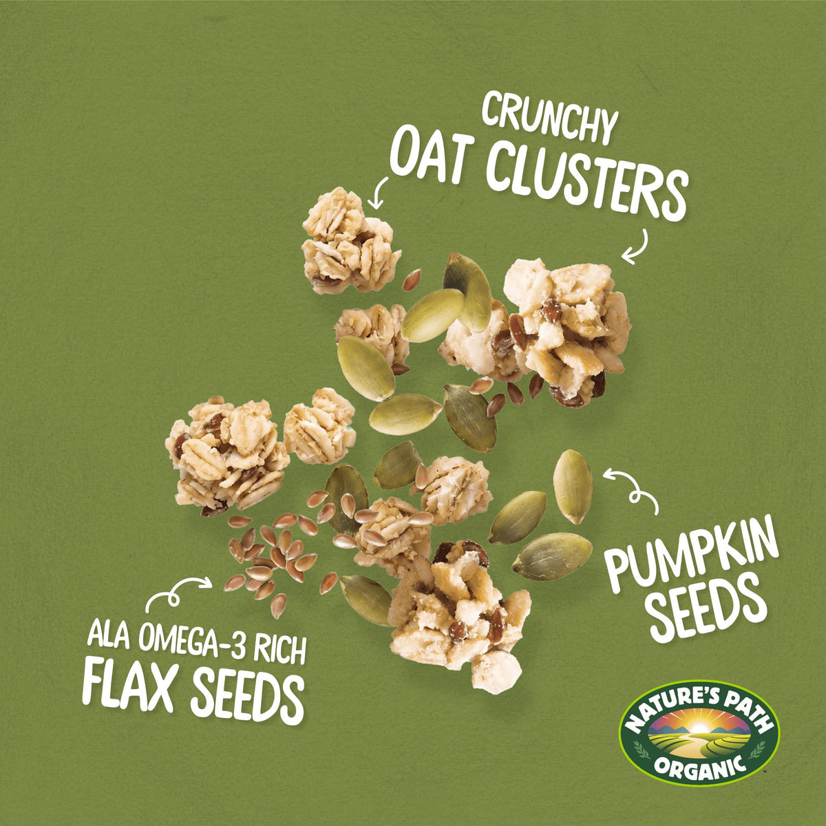 Nature's Path Organic Pumpkin Seed + Flax Granola, 25 lb (Pack of 1), Non-GMO