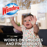 Windex Wipes Glass Cleaning, Pre-Moistened Glass and Surface Wipes to Clean Home Surfaces, Household Essentials, Original Scent, 38 Count (Pack of 1)