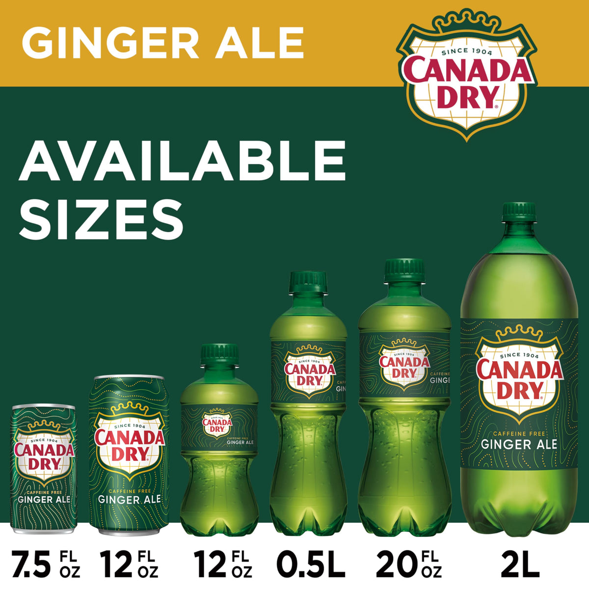 Canada Dry Ginger Ale Soda, 12 fl oz cans, 12 pack