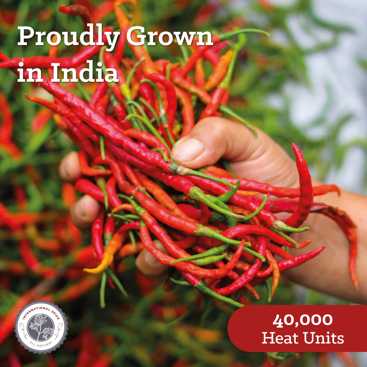 Cayenne Pepper 10 lb by International Spice
