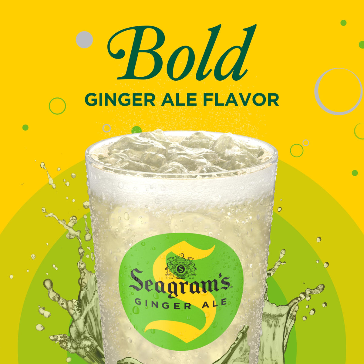 Seagrams Ginger Ale Soda Soft Drinks, 7.5 fl oz, 10 Pack