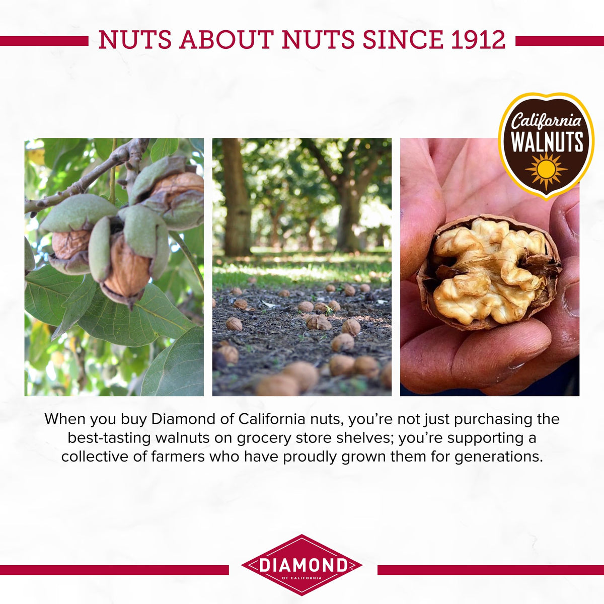 Diamond of California Shelled Walnuts 16 oz