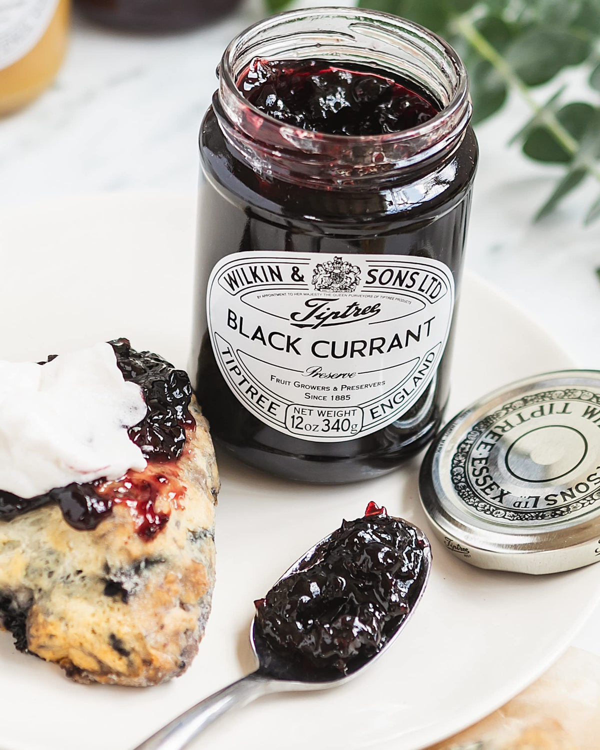 Tiptree Black Currant Preserve, 12 Ounce Jar