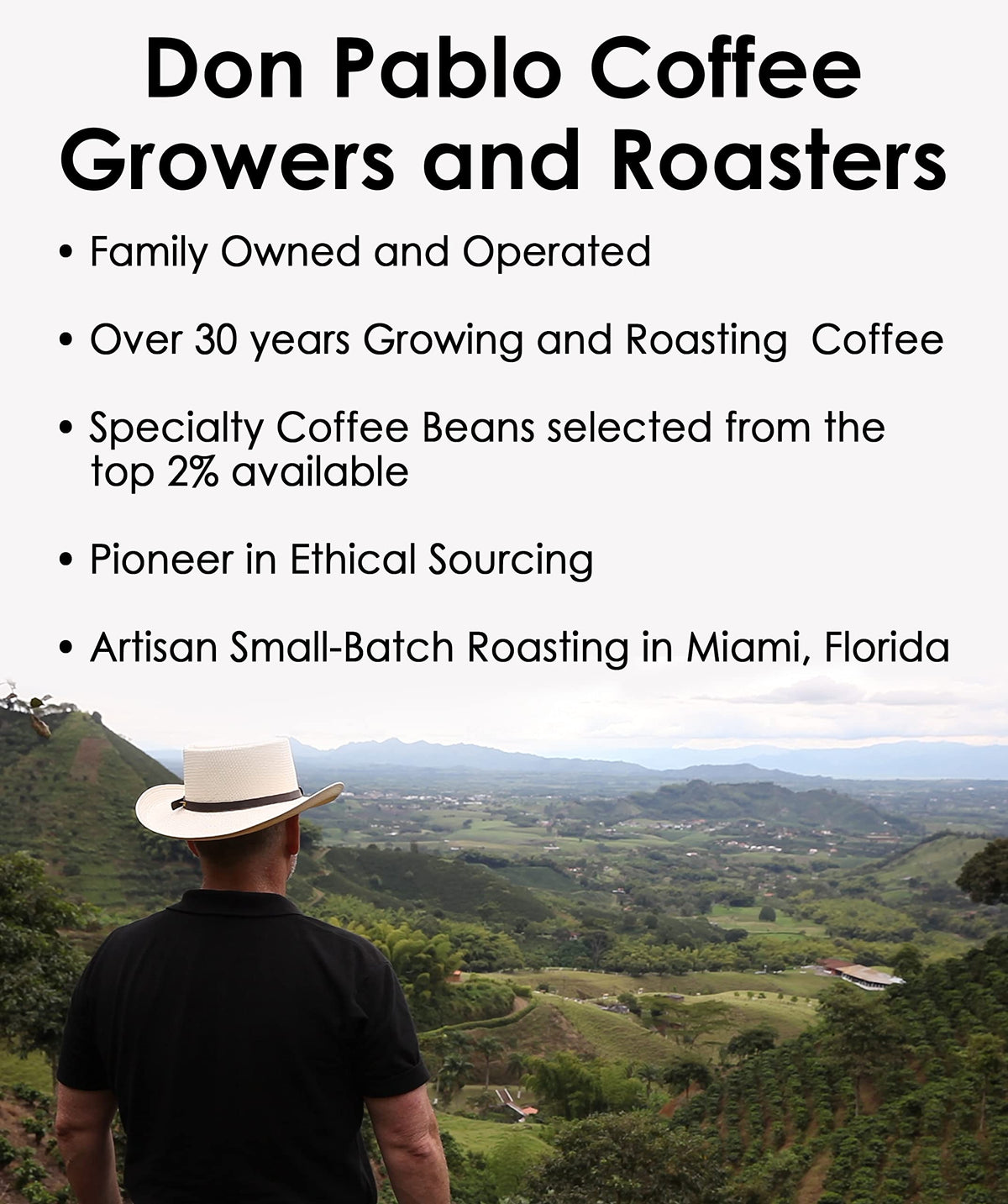 Don Pablo Gourmet Coffee - Signature Blend - Medium Dark Roast - Whole Bean Coffee - 100% Arabica Beans - Low Acidity and Non-GMO (80 Ounce, Original)
