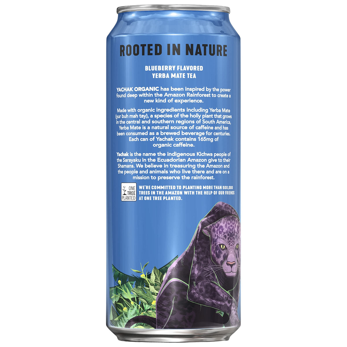 Yachak Organic Yerba Mate, Berry Blue, 16oz Can