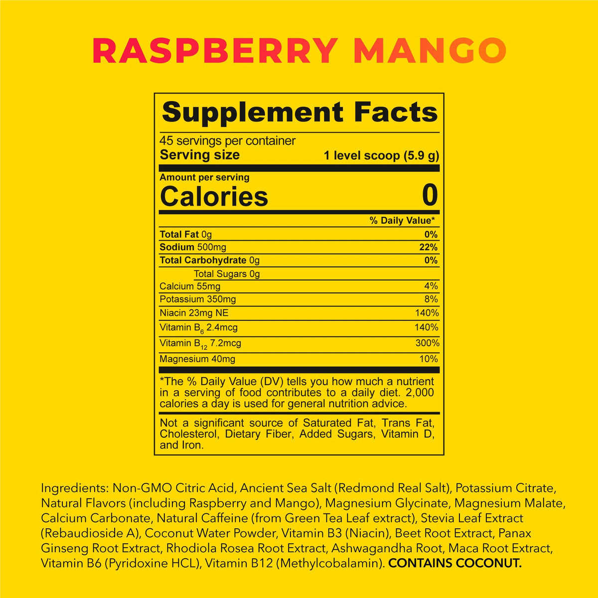 REDMOND Re-Lyte Energy Electrolyte Mix, Raspberry Mango, 8.6oz Jar