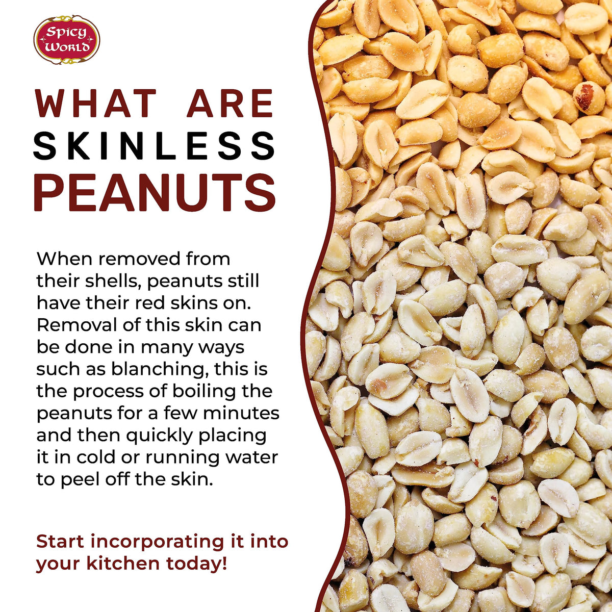 Spicy World Skinless Peanuts, Blanched Raw Peanuts (Uncooked, Unsalted) 4 Pound (64oz) ~ All Natural USA Grown