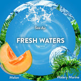 Air Wick Scented Oils 0+6 Fresh Waters