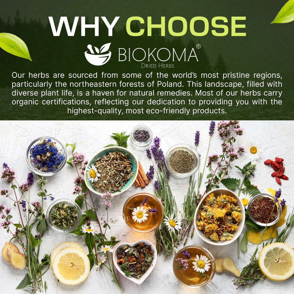Biokoma Comfrey Dried Root 50g 1.76oz Cut & Sifted Dried Herb Symphytum officinale Topical Healing & Skin Support Salve Ointment Resealable Moisture