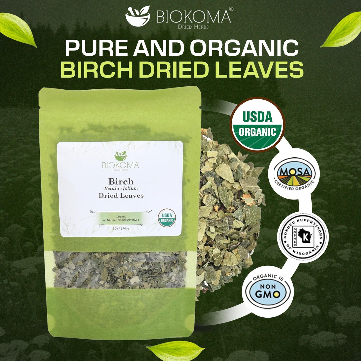 Biokoma Organic Birch Leaf Tea Loose Dried Leaves 50g 1.76oz - Detox Support Digestion Immunity Herbal Tea - USDA Organic - Resealable Moisture Proof