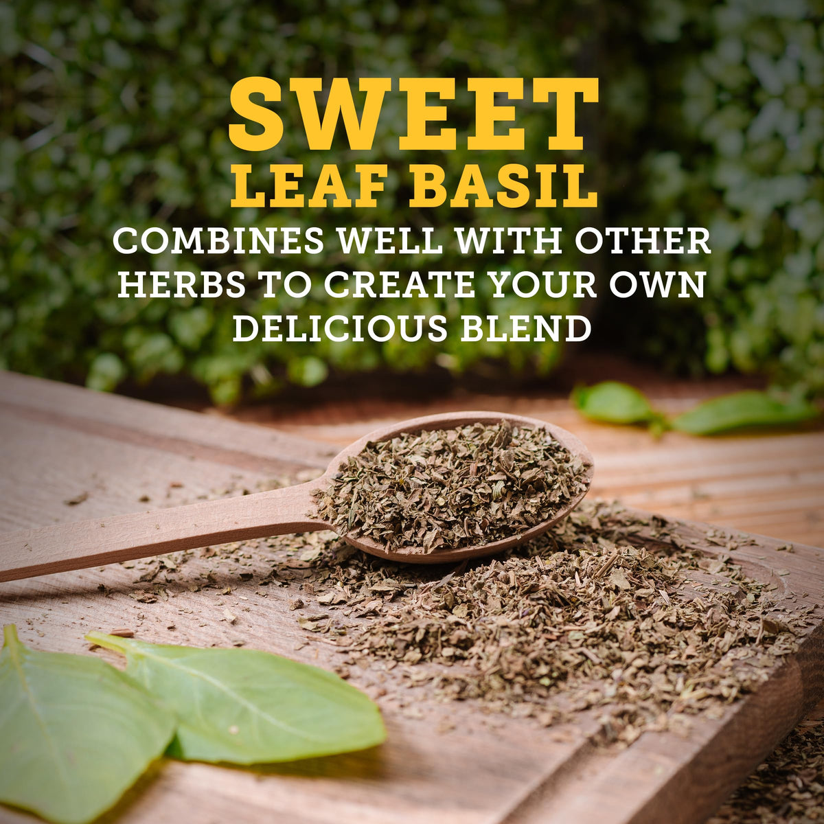 Tone's Sweet Leaf Basil, 0.63 Ounce