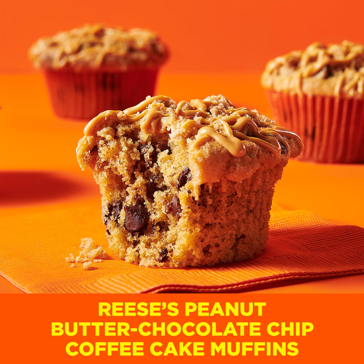 Betty Crocker REESE'S Peanut Butter Coffee Cake Mix with Mini REESE'S Peanut Butter Chips and Brown Sugar Streusel Topping, 14.2 oz