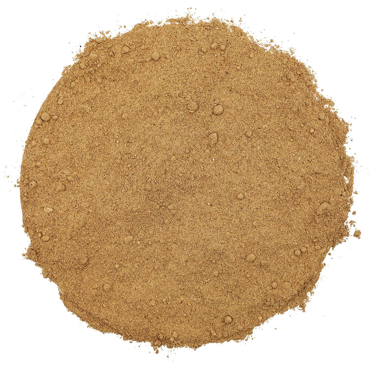 Spice Enthusiast Gingerbread Spice - 3.2 oz