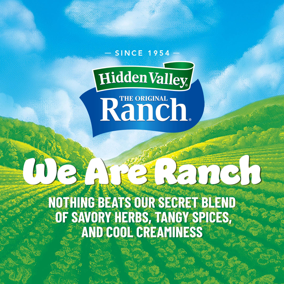 Hidden Valley Original Ranch Seasoning, Dressing and Recipe Mix, 1 Ounce (Package May Vary)
