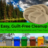 Restaurant-Grade, Biodegradable 9" 3-Compartment Plates. Bulk 25 Pk. Great for Lunch and Dinner Parties. Disposable, Compostable Wheatstraw Divided