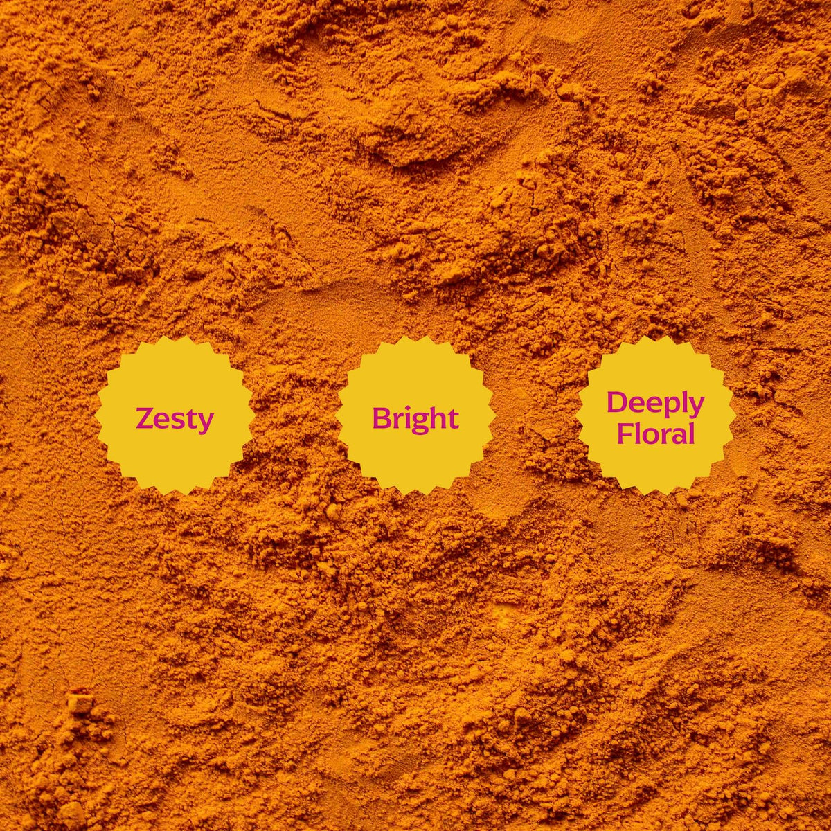 Diaspora Spice Co. Pragati Turmeric Powder - Single-Origin Heirloom Turmeric from India, High Curcumin (5.2%), Fresh Harvest Spice for Cooking, Golden