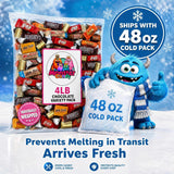 Chocolate Party Favor Candy Mix - 4 lb Pinata Stuffers Candy Bulk - Goodie Bag Stuffers for Kids Party Favors - Chocolate Candy Variety Pack Bulk