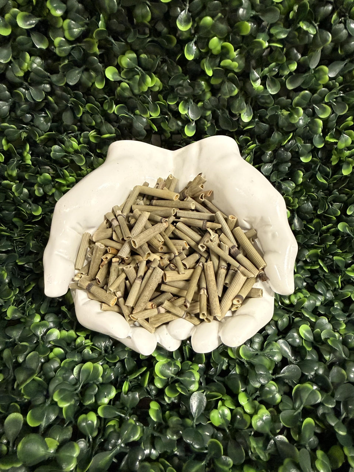 HealinGifts Horsetail Tea (Cola de Caballo/Shavegrass) - 0.5 oz Resealable Kraft Bag - Herbal Loose Leaf Tea