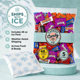 Bulk Pinata Candy & Chocolate Variety Pack, 5 Lb Individually Wrapped Mix
