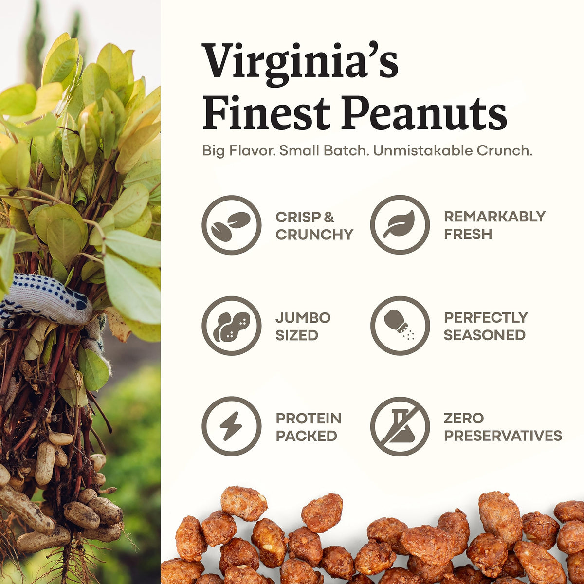 Belmont Peanuts Gourmet Butter Toffee Candied Peanuts, 20 oz (1 Pack) - Only 4 Ingredients, No Preservatives, 3g Protein - A Premium, Sweet, Buttery
