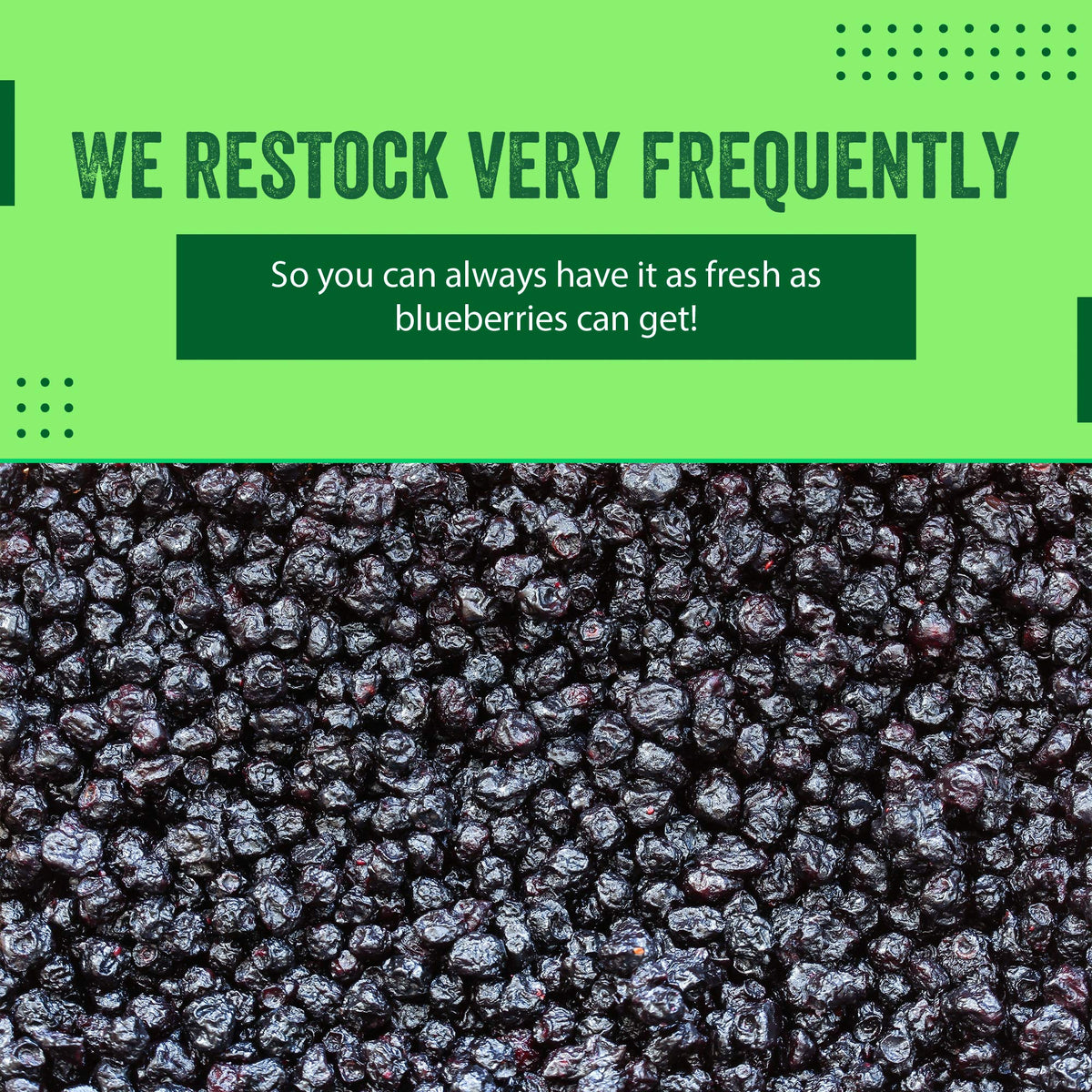 Dried Blueberries 2 lb (32 oz) - Gluten-Free & Peanut-Free, Slightly Sweetened - Great for Baking & Snacking - Berries with Benefits
