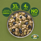 Nature's Path Organic Pumpkin Seed + Flax Granola, 25 lb (Pack of 1), Non-GMO