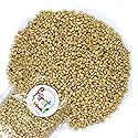 FirstChoiceCandy Raw Pine Nuts Bulk Bag 1 LB