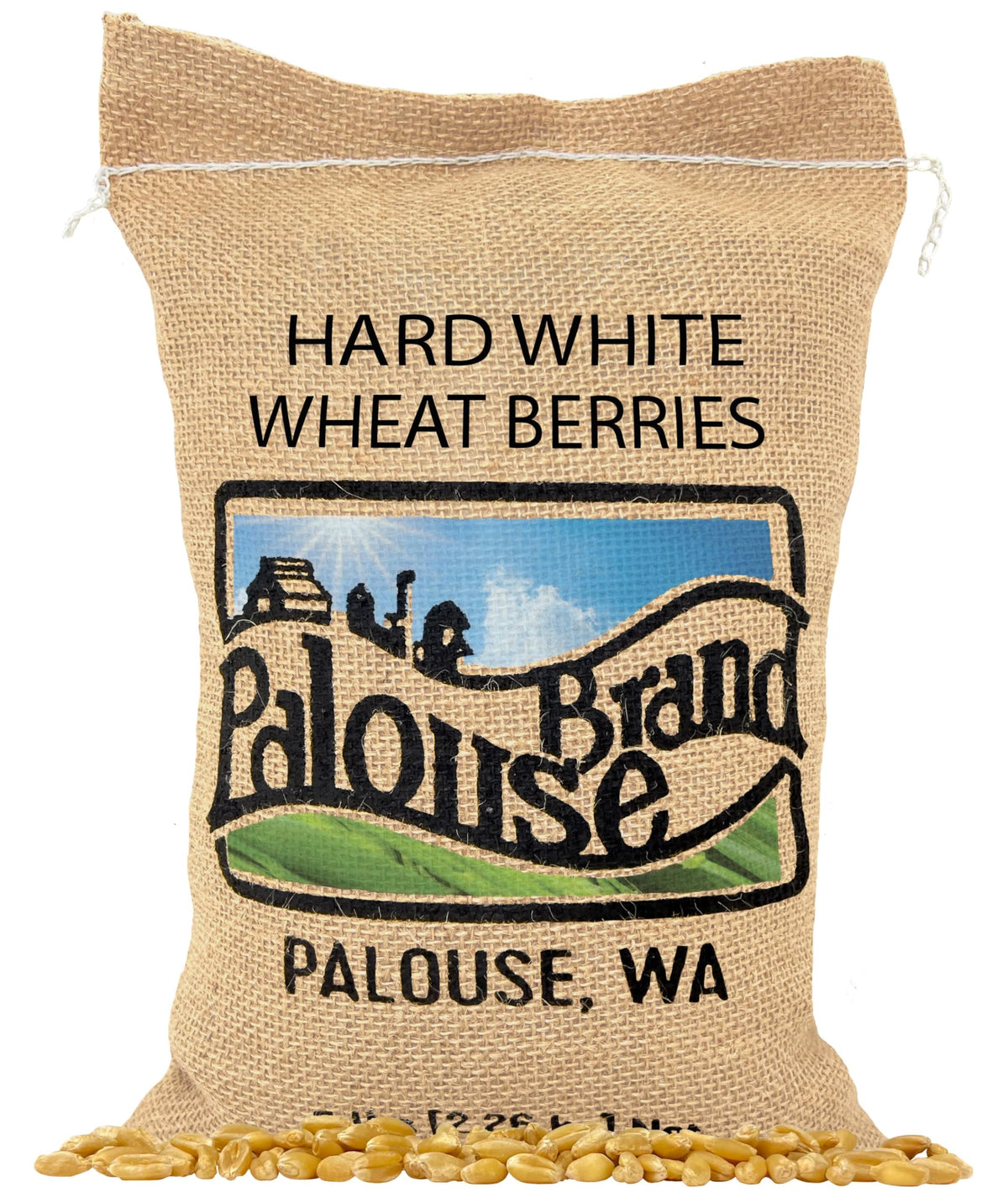 Palouse Brand Certified Glyphosate Residue Free Hard White Wheat Berries | 5 LBS | Non-GMO Project Verified | Kosher