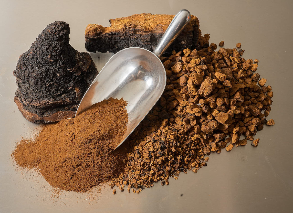 Premium Organic Chaga Mushroom Chunks - 8 oz of Authentic 100% Wild Harvested Canadian Chaga Tea - Superfood