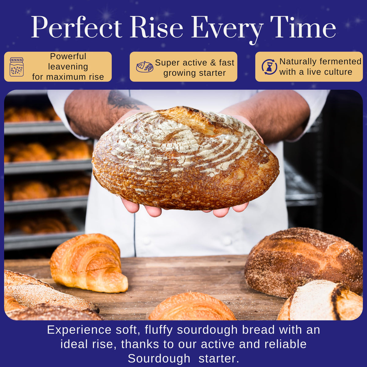 Gluten Free Sourdough Starter - 100+ Year Old Dehydrated Heirloom Style Sourdough Starter Kit for Sourdough Bread, Pizza, Buns, Pancakes, Muffins |