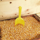 Paragon Bulk Bag Yellow PopCorn (12.5-Pounds), Brown, (1022)