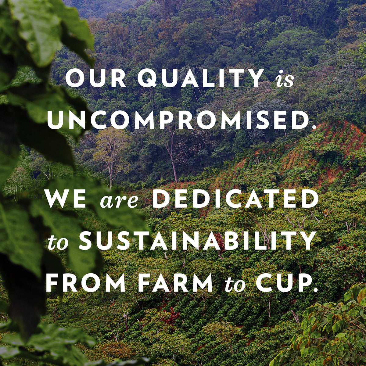 Community Coffee 100% Colombian, 18 Count, Medium-Dark Roast, Single Serve K-Cup Compatible Coffee Pods, Box of 18 Pods