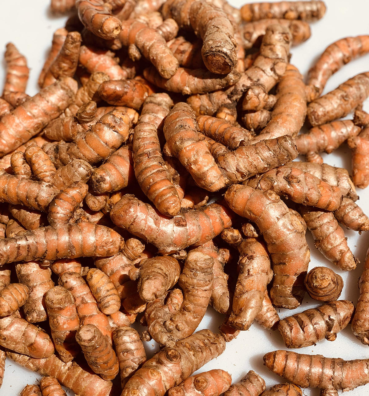 Kejora Fresh Turmeric - 4 lbs